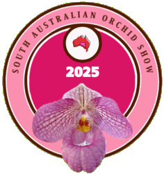Orchid