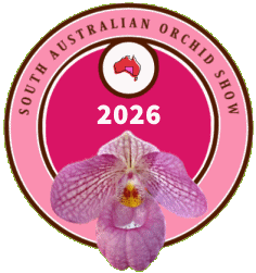 Orchid